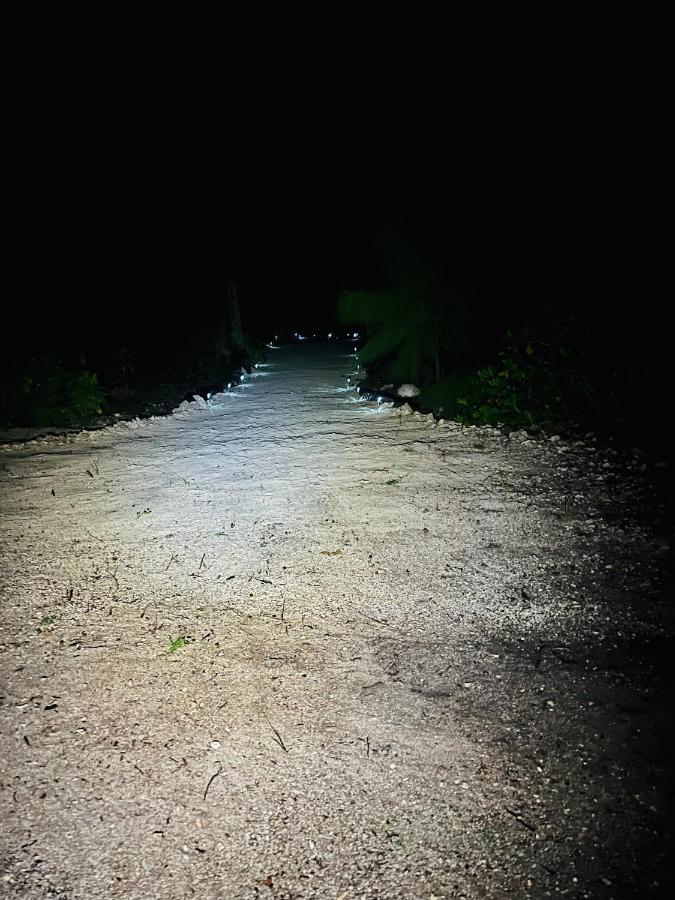 Bungalow Kura โมโอเรอา ภายนอก รูปภาพ